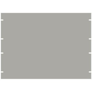 19 Frontplatte Rack Aluminium unbearbeitet Light grau