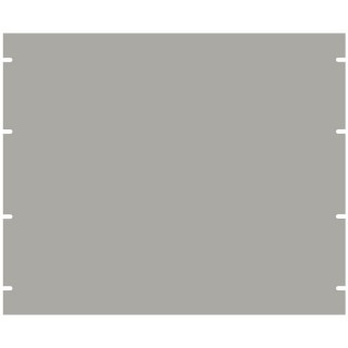 19 Frontplatte Rack Aluminium unbearbeitet Light grau