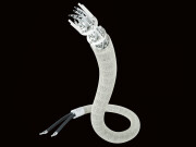 Inakustik Referenz LS-2404 AIR PURE SILVER BFA Banana...