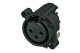 Neutrik NC3FAAH2-0 3-pole receptacle
