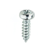 3x10mm Lens Head Dome Screw galvanized, Phillips, sharp...