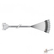 Sub-D 25 pin <-> XLR female Neutrik (Tascam pin...